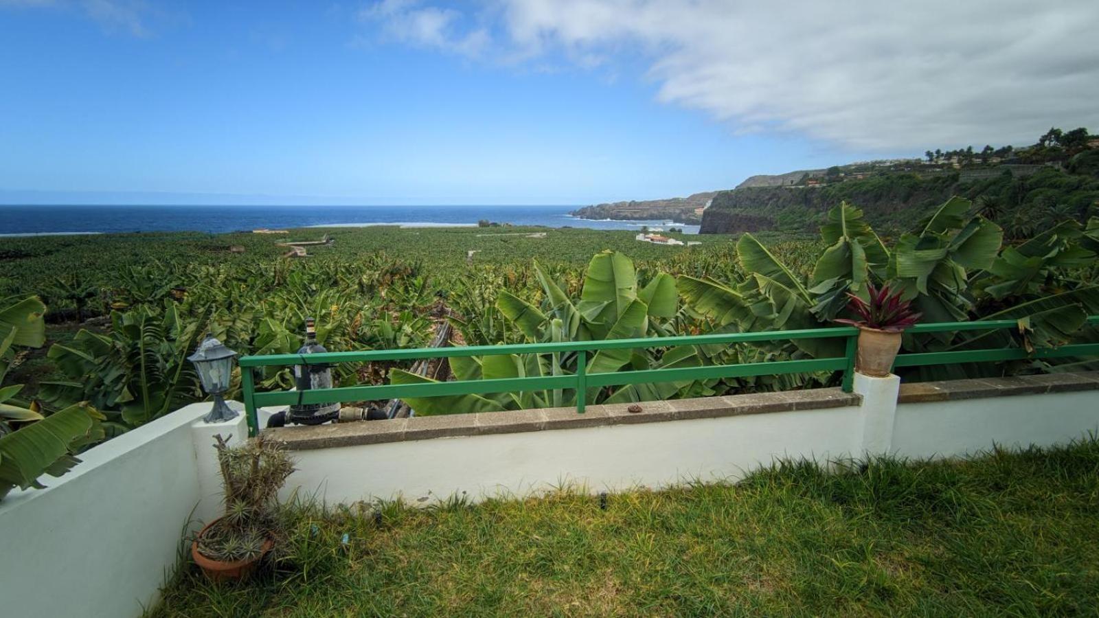 Ferienwohnung Terrazas Malpais - El Guincho, Garachico Garachico  Exterior foto