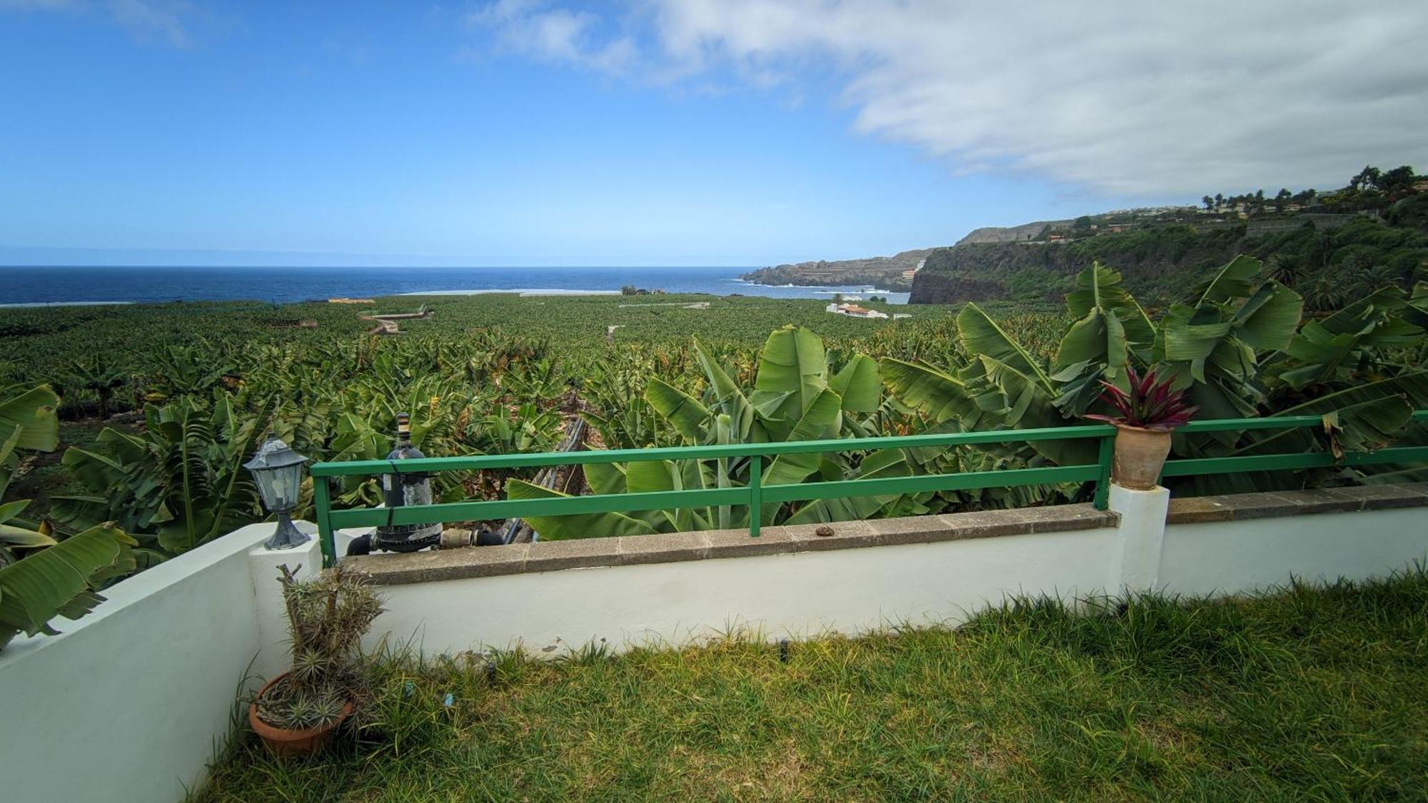Ferienwohnung Terrazas Malpais - El Guincho, Garachico Garachico  Exterior foto